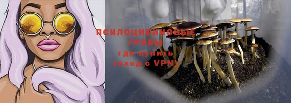 гидропоника Мегион