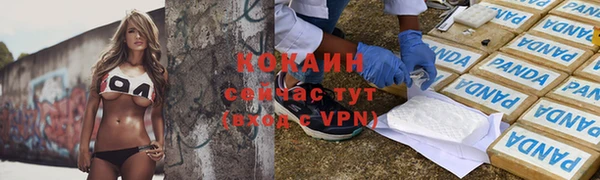 молекула духа Медногорск